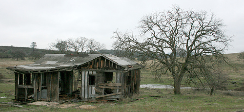 Some just see a shack next to a tree. (Photo: mhall209